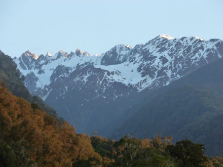 Alpine Glacia Motel