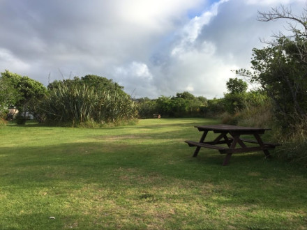 Greymouth Seaside Top 10 Holiday Park