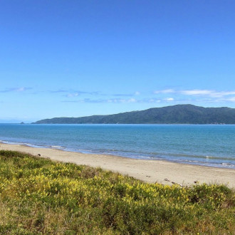 Asure Kapiti Court Motels