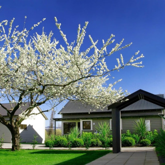 Parehua Country Estate