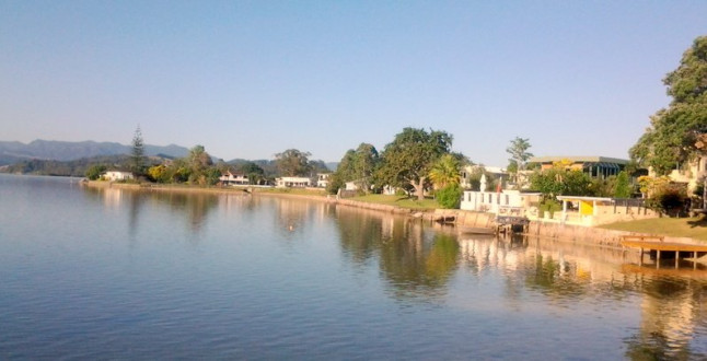 Shearwater on the Estuary
