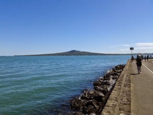 Auckland 1071