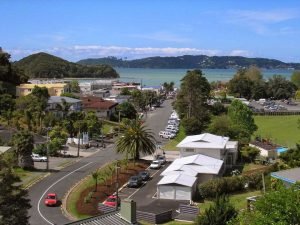 Aarangi-Tui-Motel 16 Williams Road