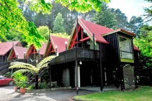 Coastal Motor Lodge 608 Tarau Road