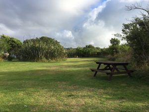 Greymouth Seaside Top 10 Holiday Park 2 Chesterfield Street