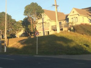 Auckland 2105