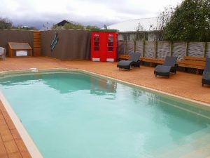 Matakana 0985